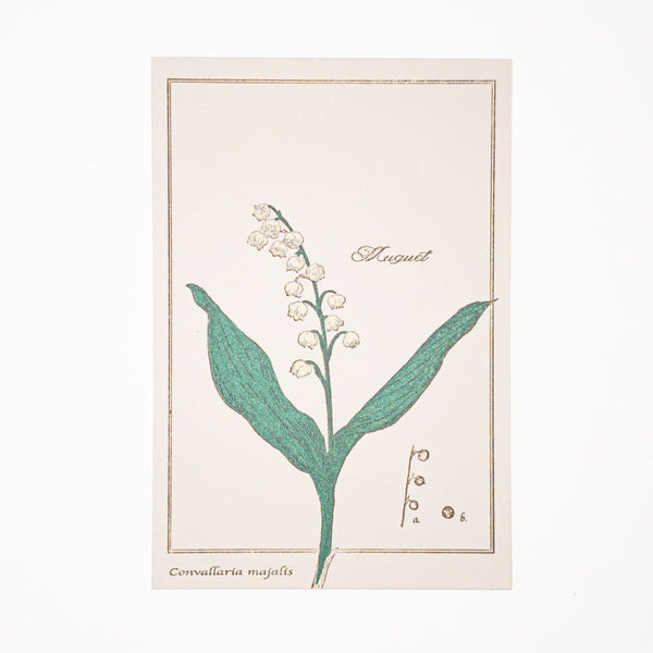 Letterpress Lilly of the Valley Postcard - Cards Japanese Stationery