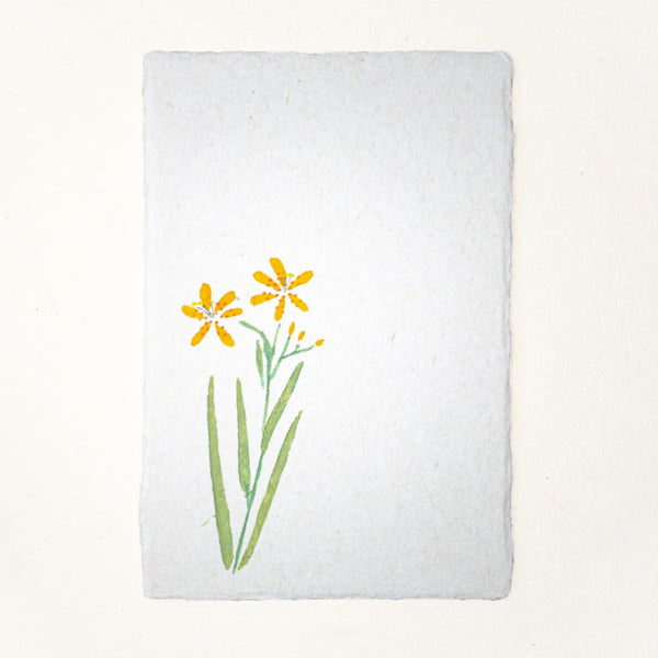 Hand painted Blackberry Lilly Flower Postcard 20% OFF - Cards Japanese Stationery