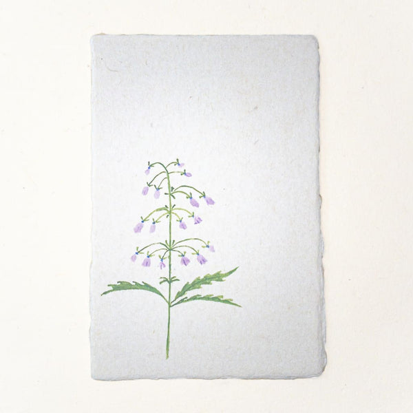 Hand painted Canterbury Bells Flower postcard 20% OFF - Cards Japanese Stationery