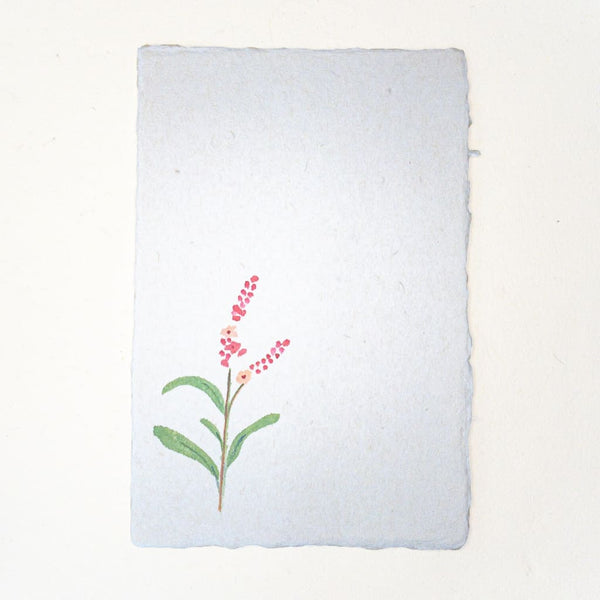 Hand painted Water-Pepper Flower postcard 20% OFF - Cards Japanese Stationery