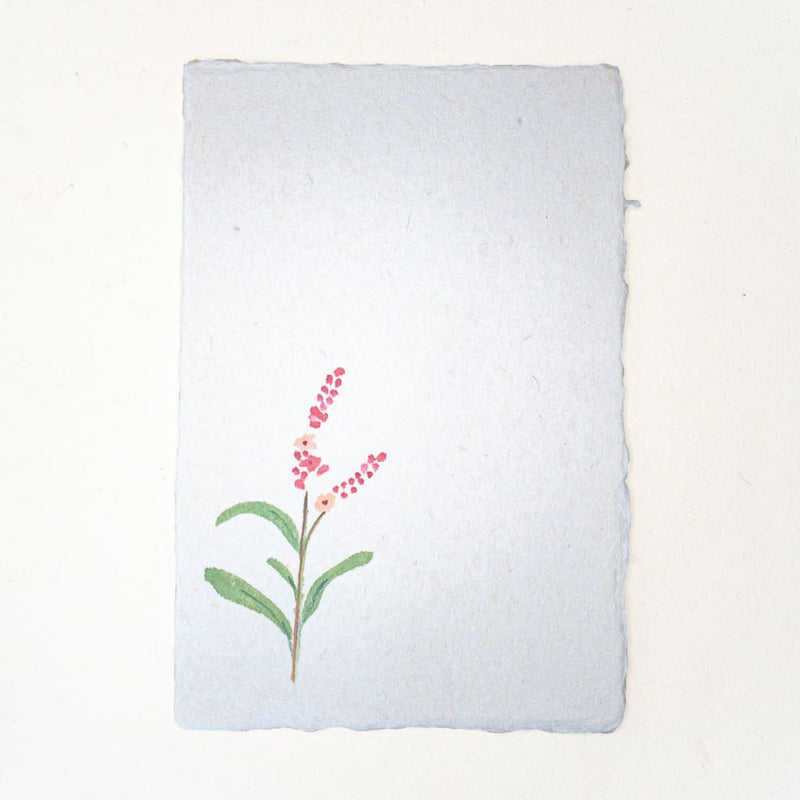 Hand painted Water-Pepper Flower postcard 20% OFF - Cards Japanese Stationery