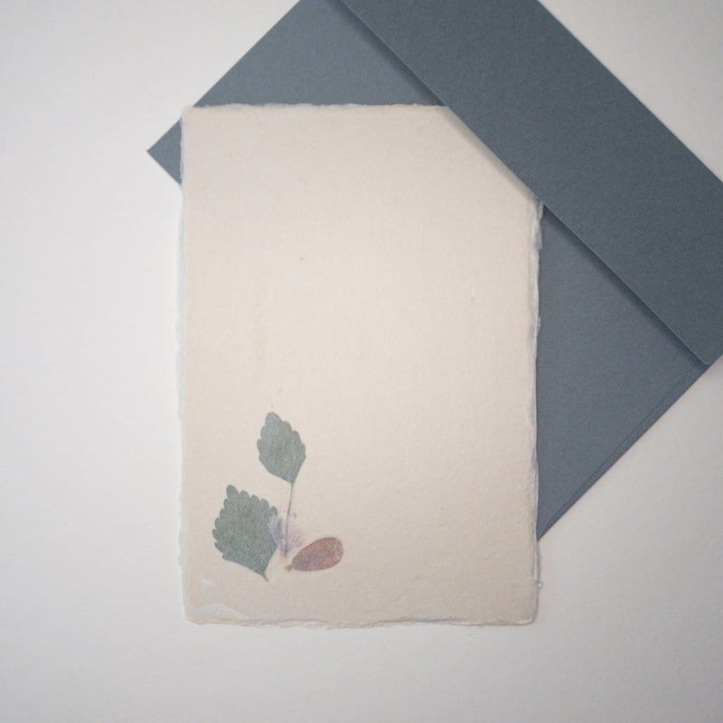 Handmade Dried Flower Postcard & Envelope - Cards Japanese Stationery