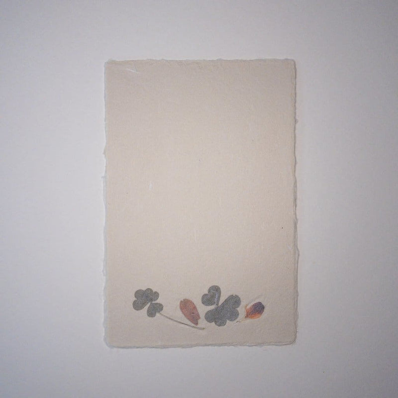 Handmade Dried Flower Postcard & Envelope - Cards Japanese Stationery