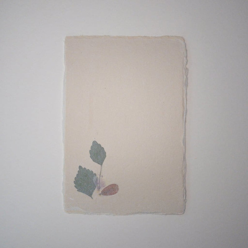 Handmade Dried Flower Postcard & Envelope - Cards Japanese Stationery