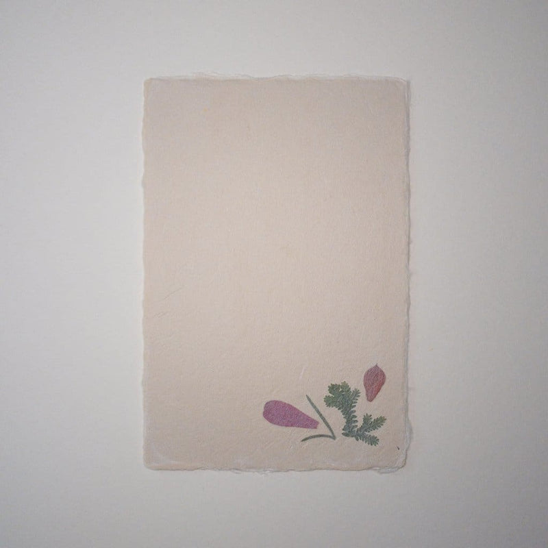Handmade Dried Flower Postcard & Envelope - Cards Japanese Stationery