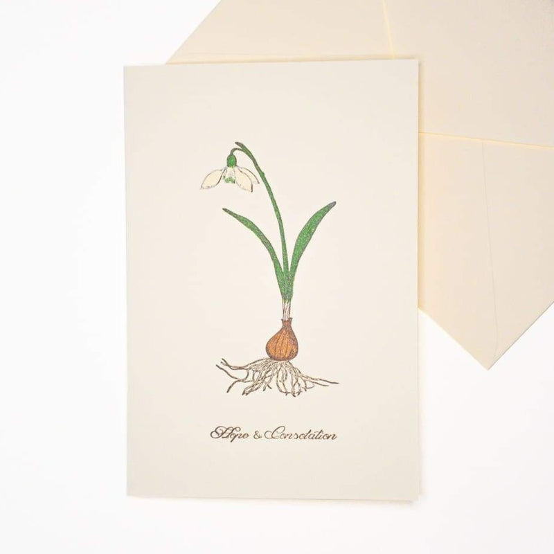 Hope & Consolation Letterpress Greeting Card - Cards Japanese Stationery