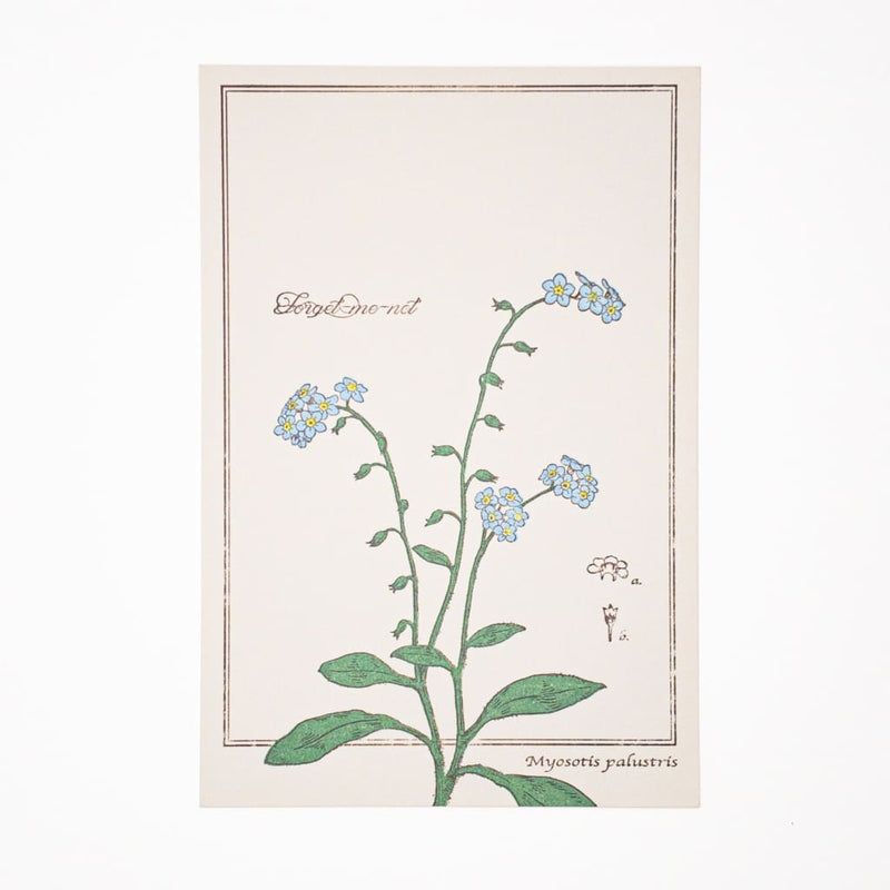 Letterpress Forget Me Not Postcard - Cards Japanese Stationery