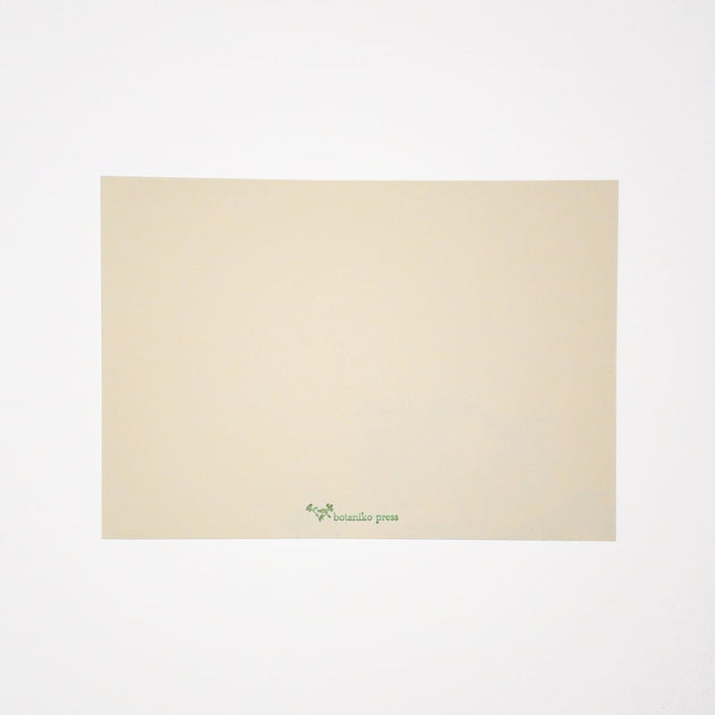 Letterpress Poppy Postcard & Envelope - Cards Japanese Stationery