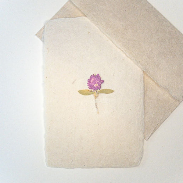 Pink Pom Pom Dried Flower Postcard - Cards Japanese Stationery