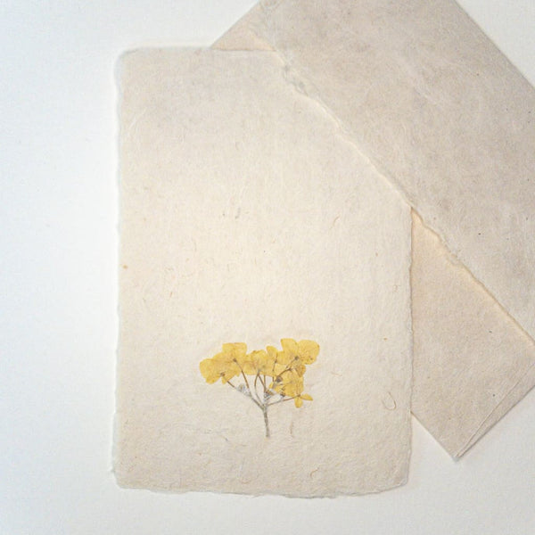 Yellow Dried Flower Postcard - Cards Japanese Stationery